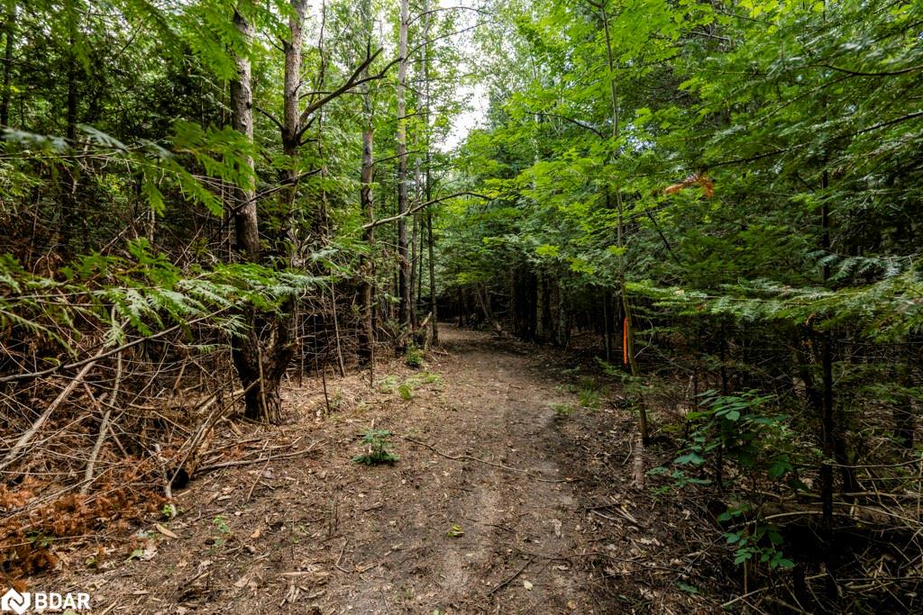 5349 30th Side Road