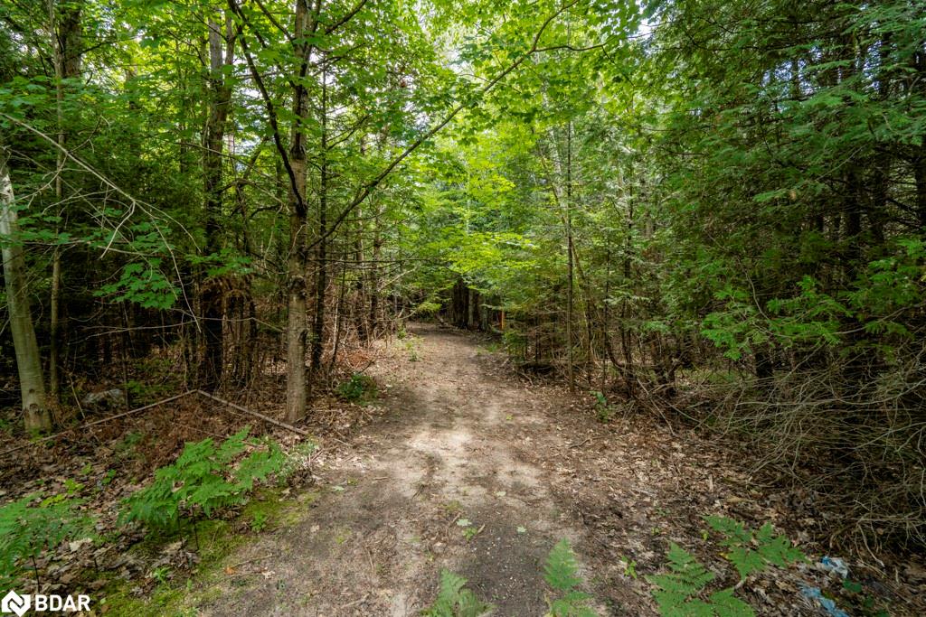 5349 30th Side Road