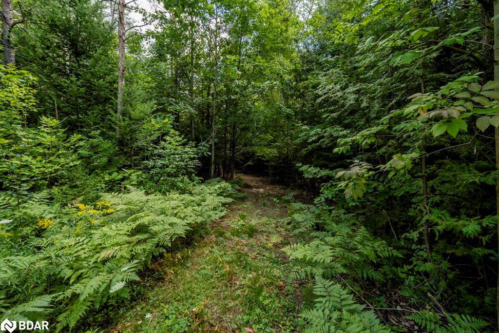 5349 30th Side Road