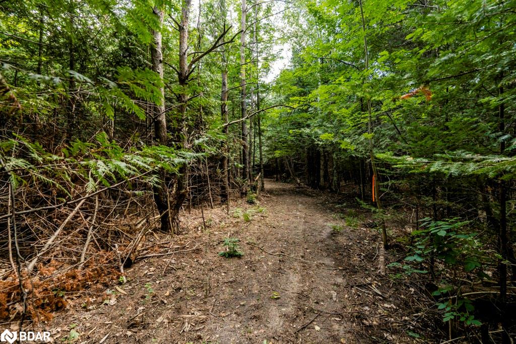 5349 30th Side Road