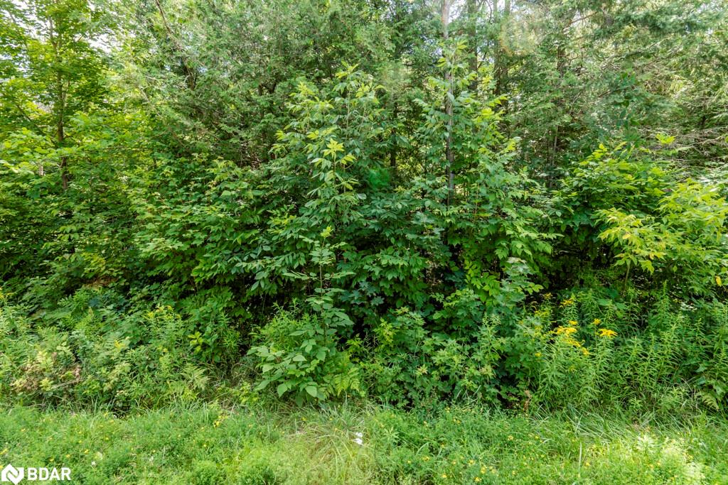 5349 30th Side Road