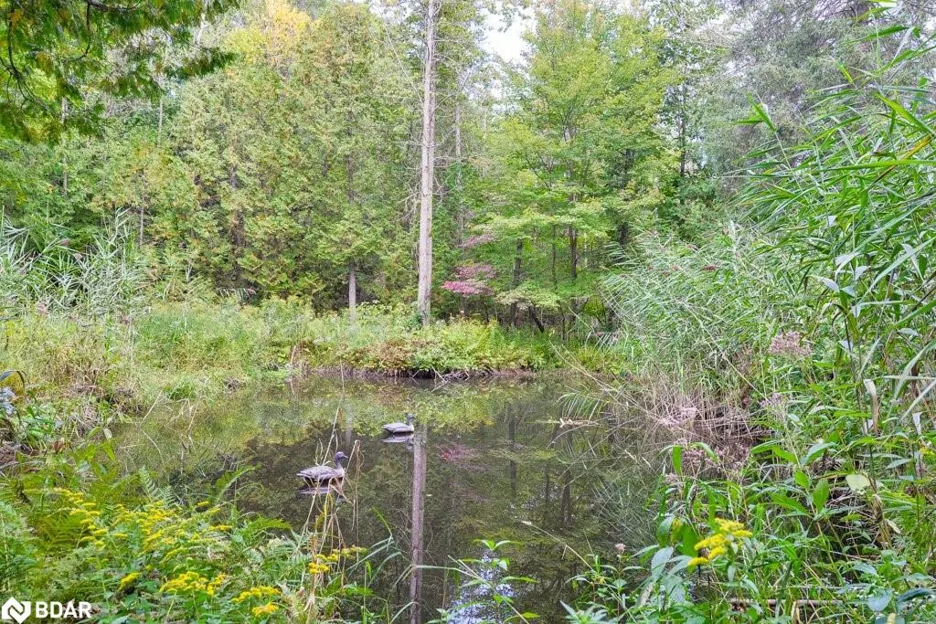 1390 Warminster Sideroad