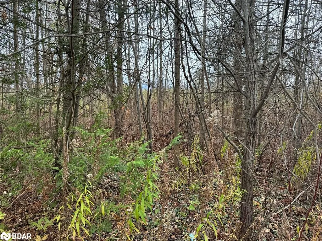 0 Taylorwoods Boulevard