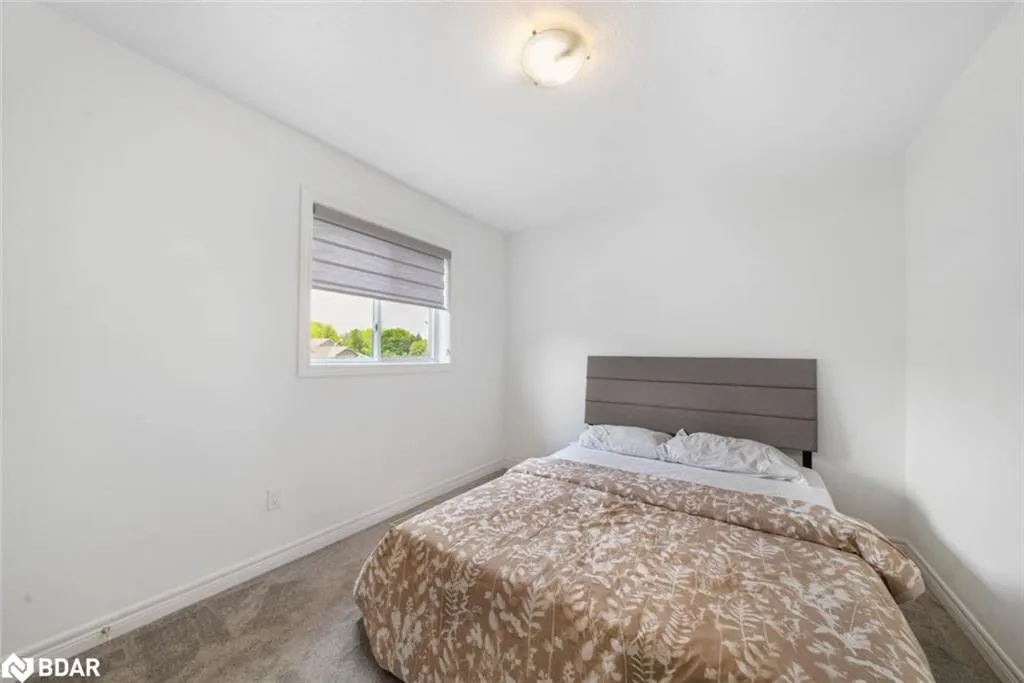 6 Bassett Street