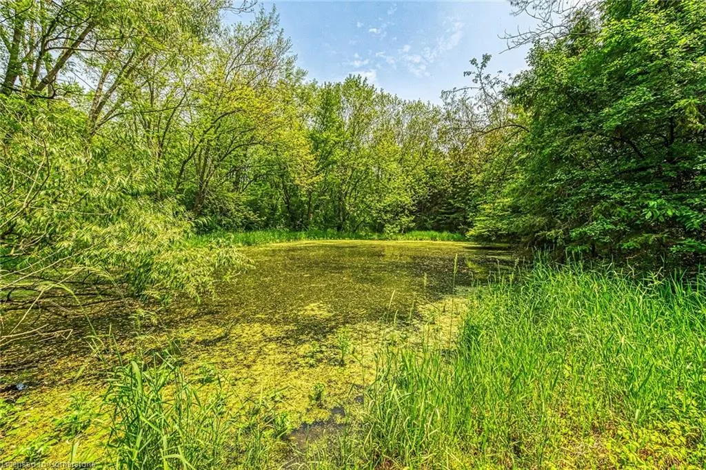 99 Sawmill Road