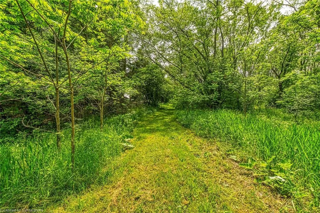 99 Sawmill Road