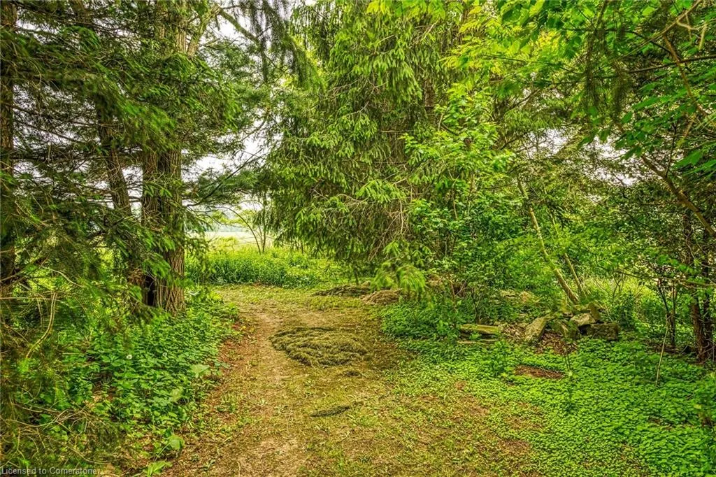 281 Big Creek Road