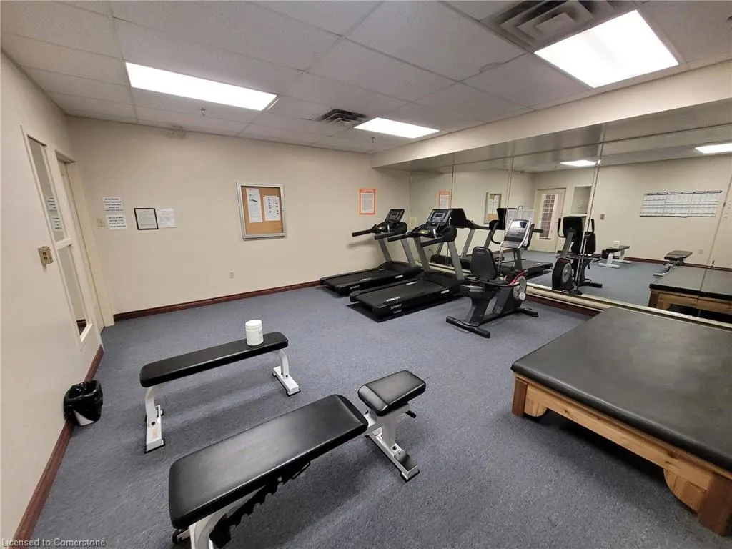 495 Highway 8, #404