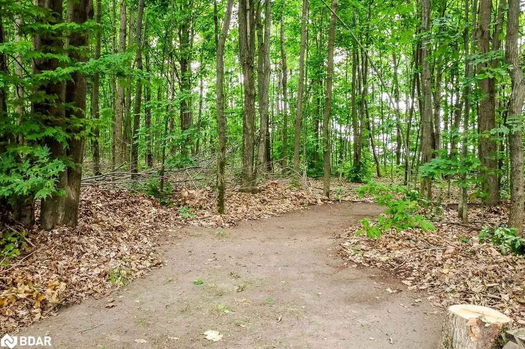 24 Ironwood Trail