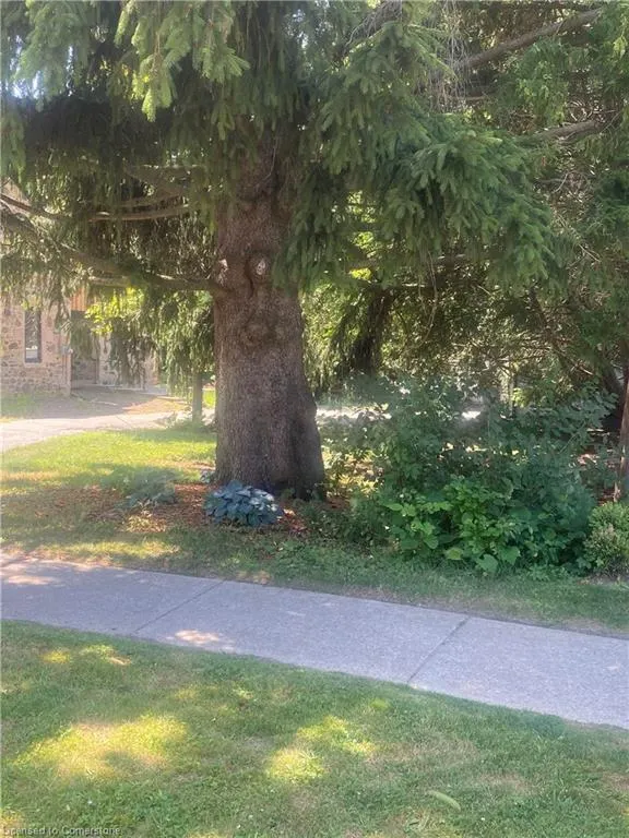 33 Islington Avenue