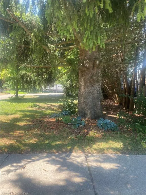 33 Islington Avenue