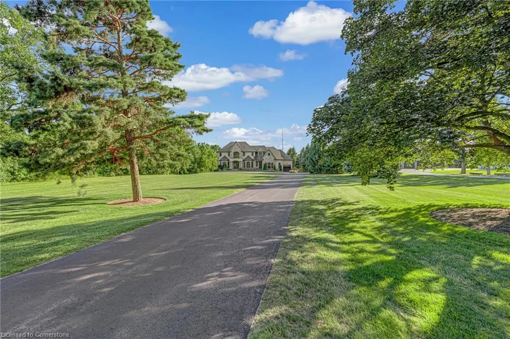 3122 Cedar Springs Road
