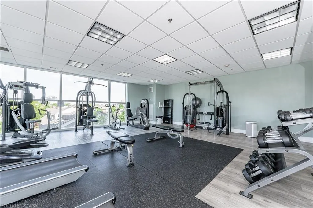 144 Park Street, #1606