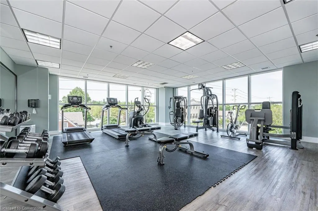144 Park Street, #1606