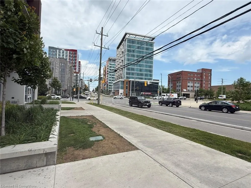 203 Albert Street, #3