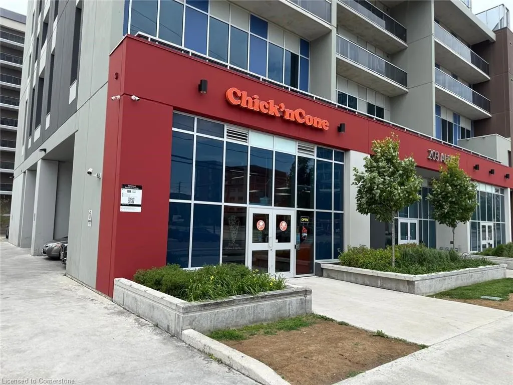 203 Albert Street, #3