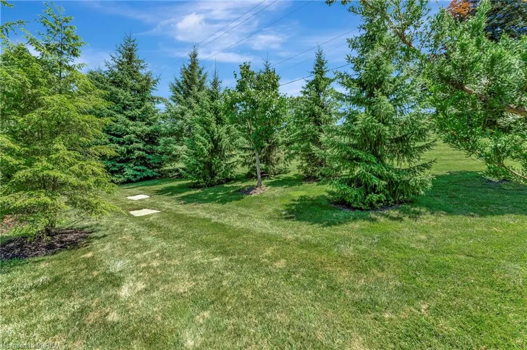 158 Willow Street, #23