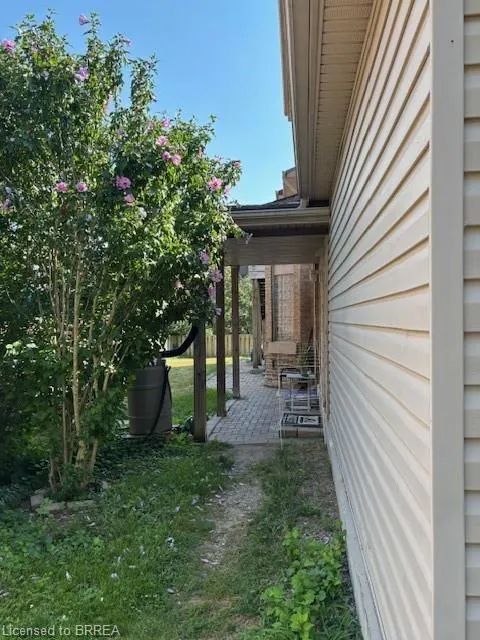 15 Buffalo Street