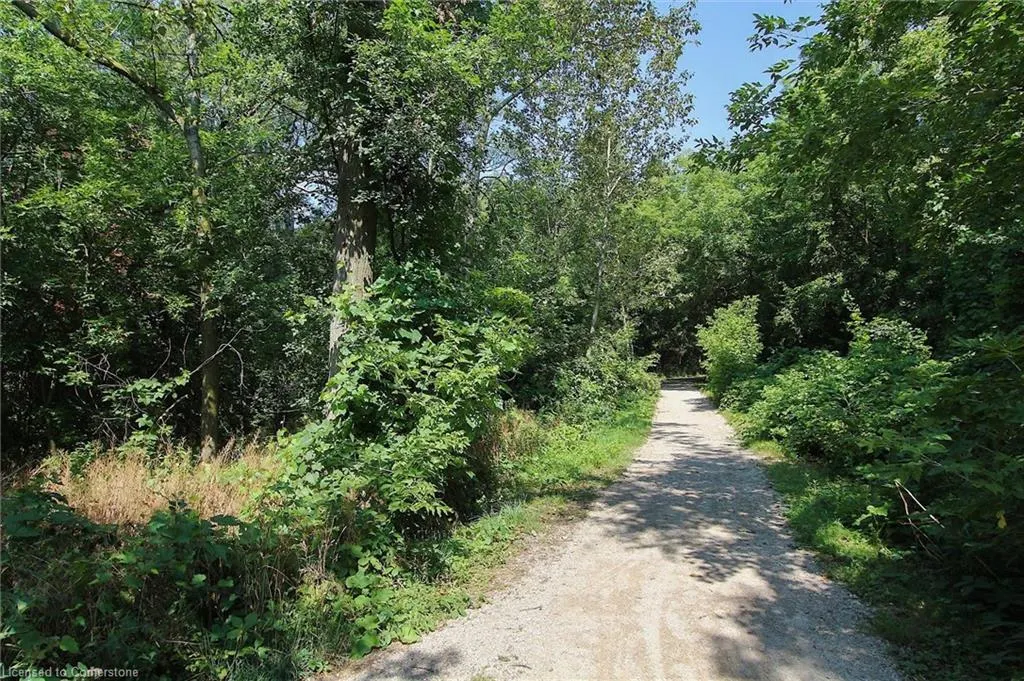 55 Blue Springs Drive, #706