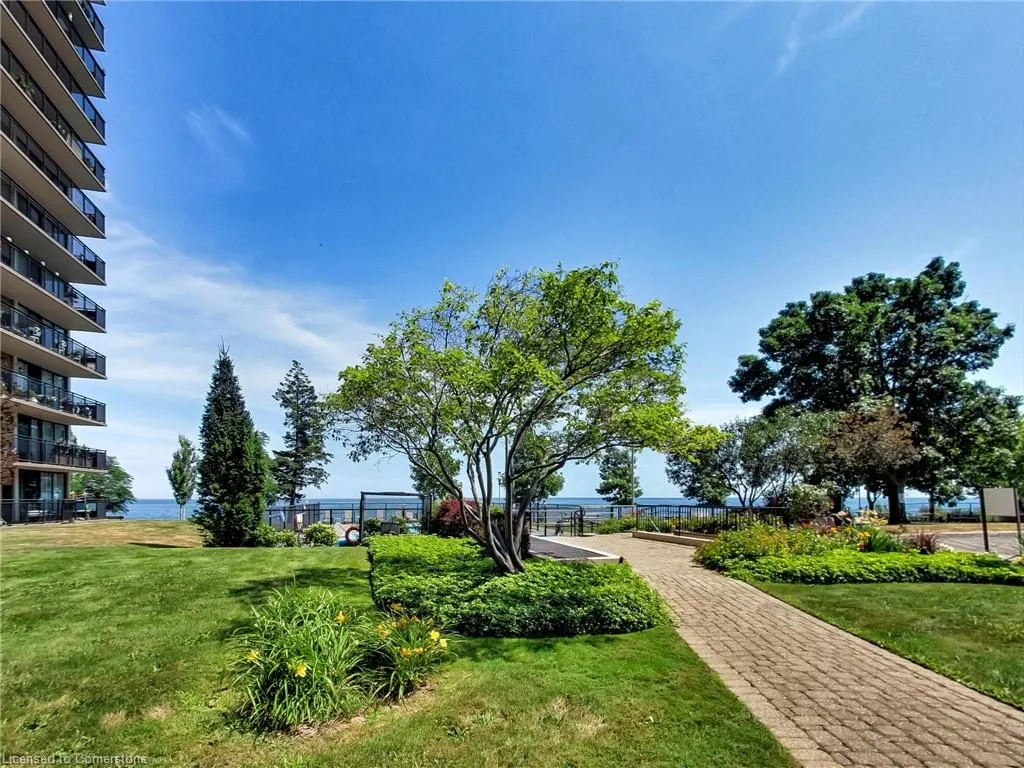 500 Green Road, #203