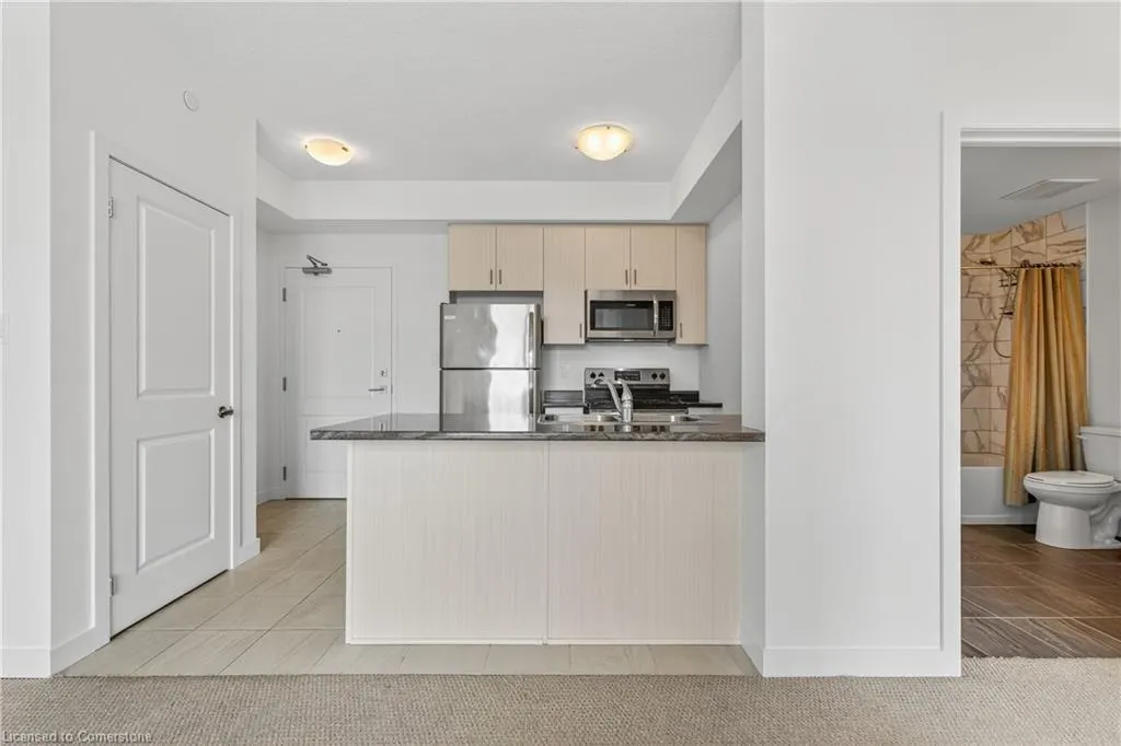 101 Shoreview Place, #530