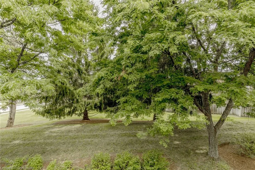 523 Beechwood Drive, #4