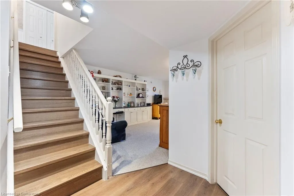 48 Olivetree Road