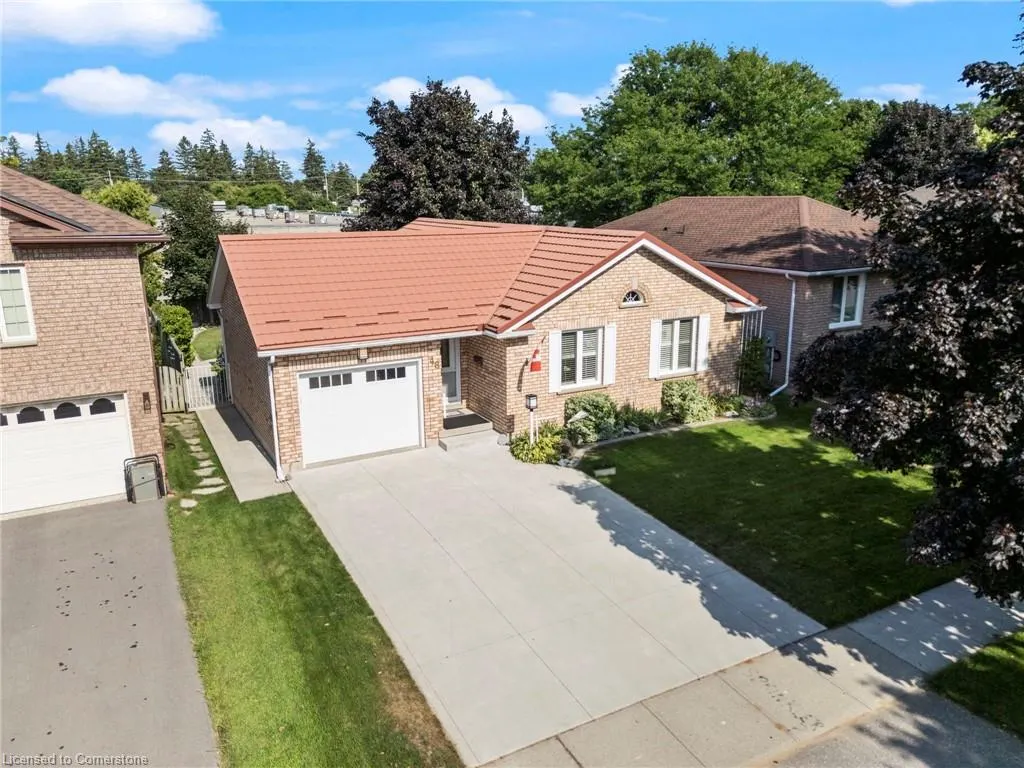 48 Olivetree Road