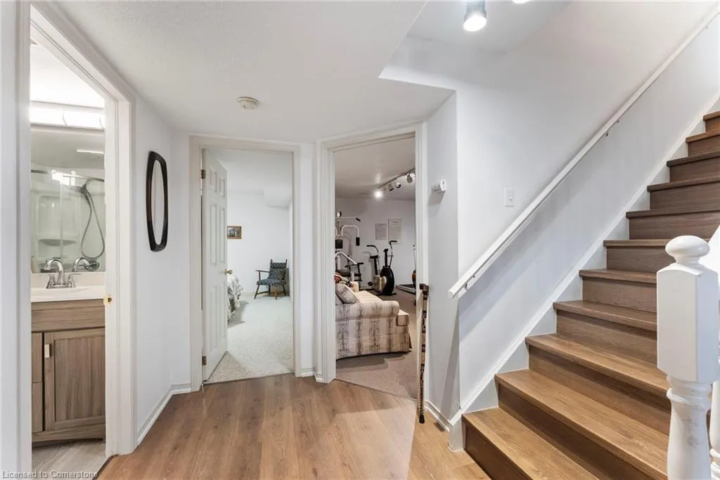 48 Olivetree Road