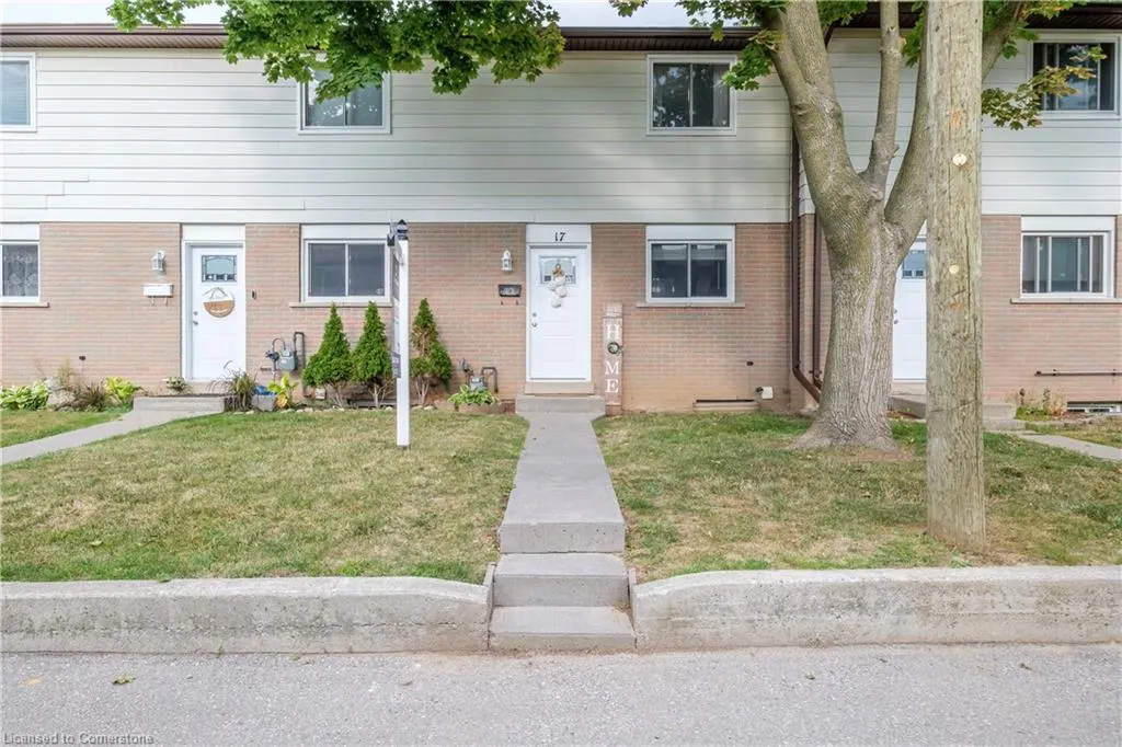 379 Darling Street, #17