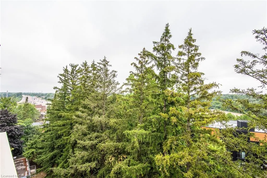 260 Sheldon Avenue N, #807