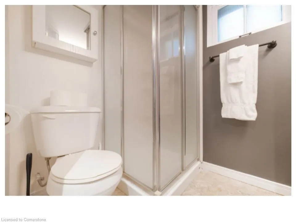 28 Spring Street W, #Lower Level