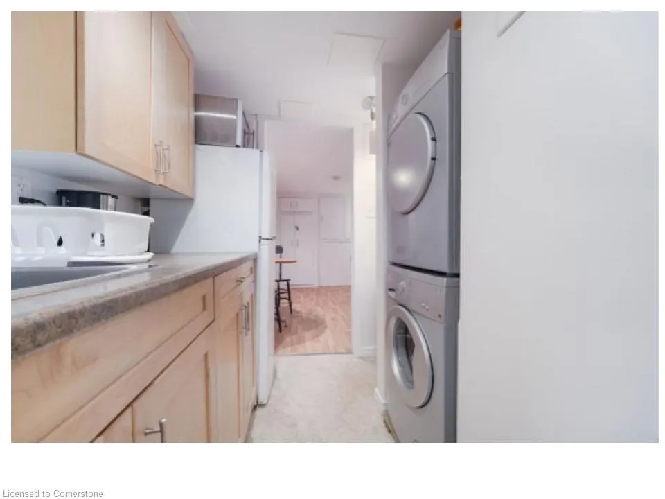 28 Spring Street W, #Lower Level