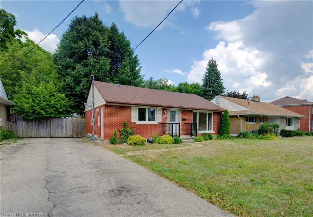 28 Jack Avenue