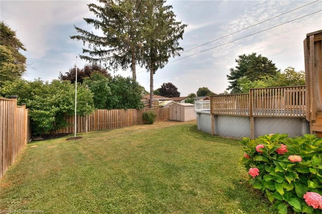 67 Elmwood Crescent