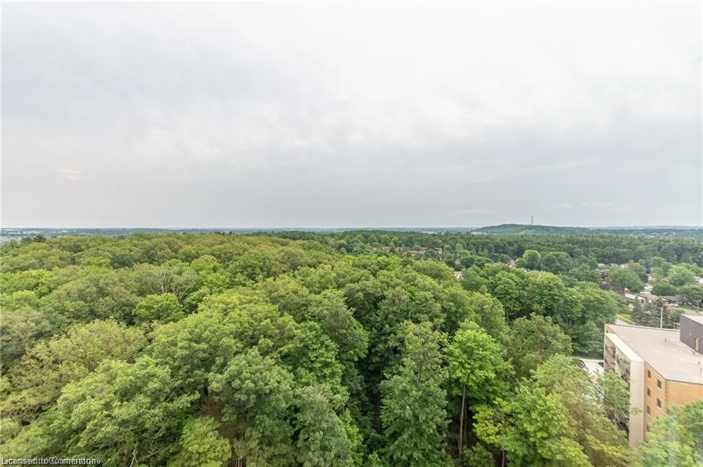 55 Green Valley Drive, #1804