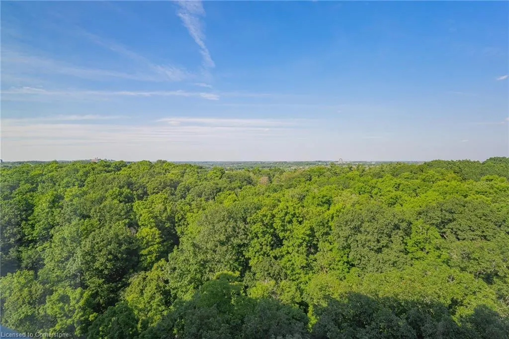 55 Green Valley Drive, #1701