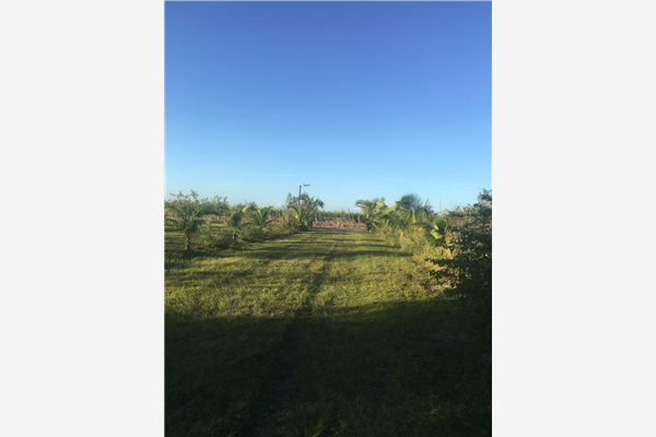 5759 2nd Road, La Belle