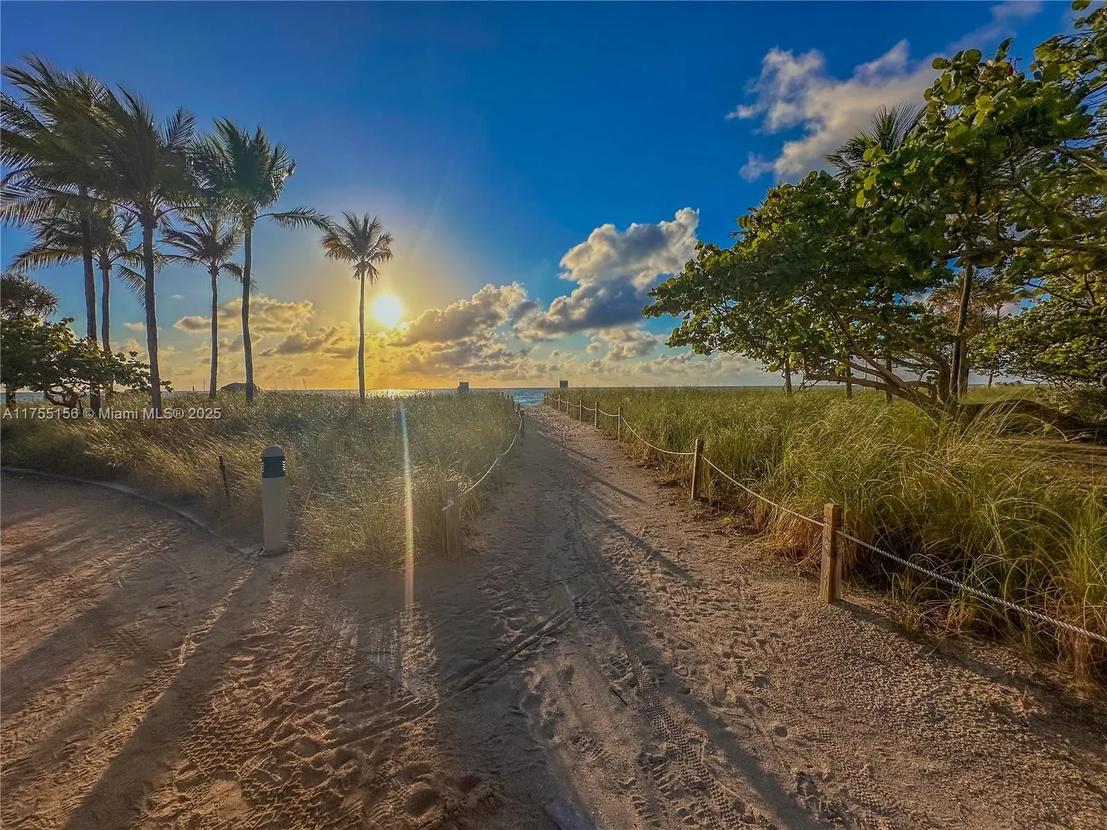 9801 Collins Ave, #4Y