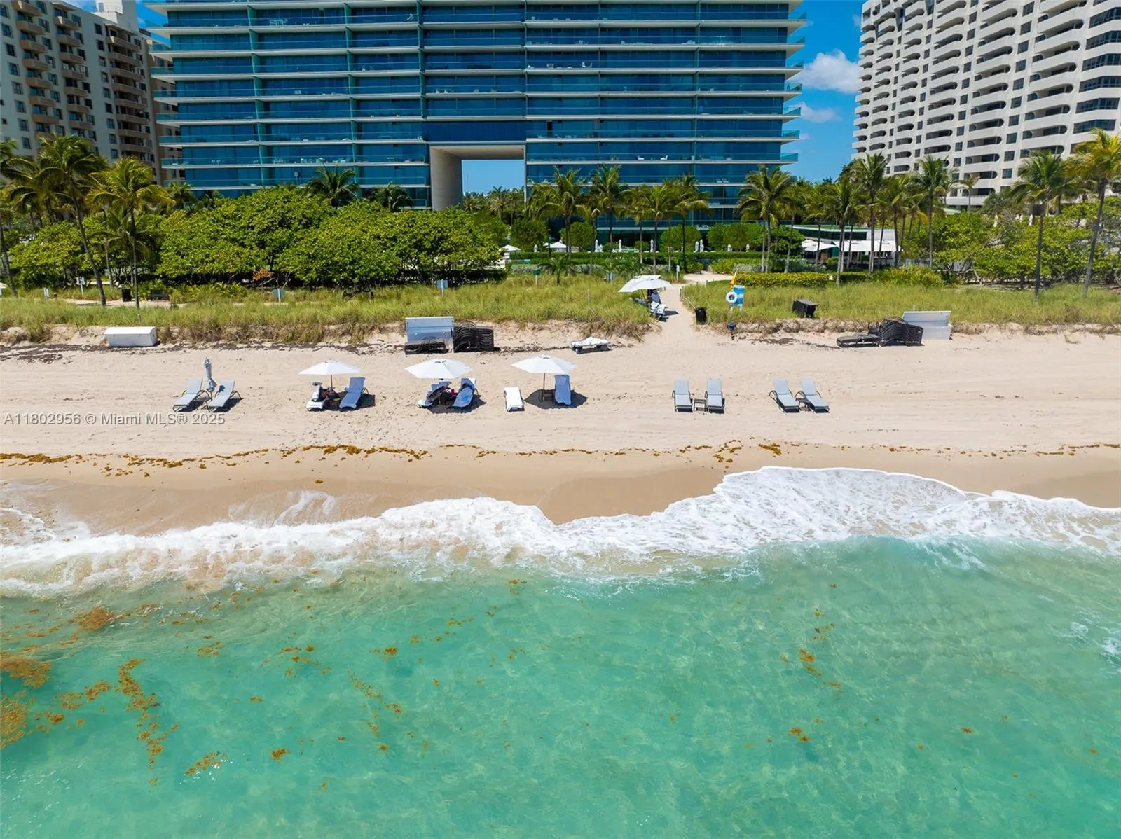 10203 Collins Ave, #302