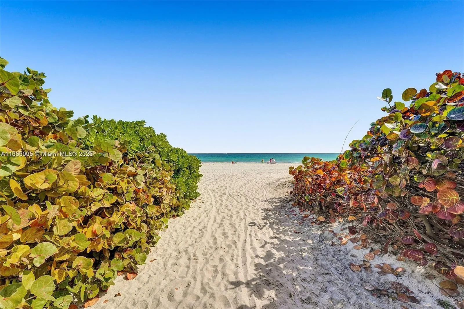 9195 Collins Ave, #304