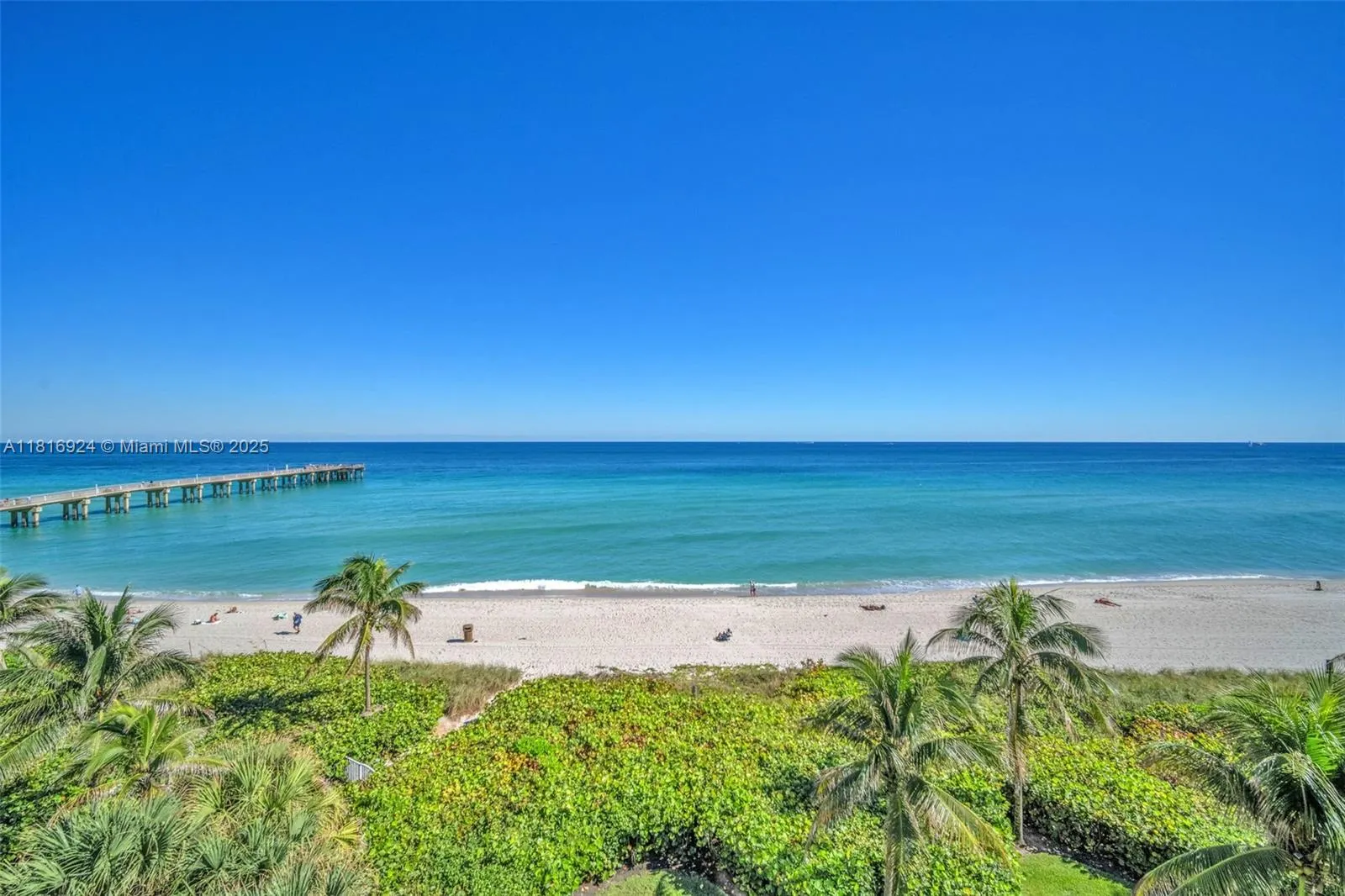 16445 Collins Ave (Direct Ocean View /Corner Unit), #1426