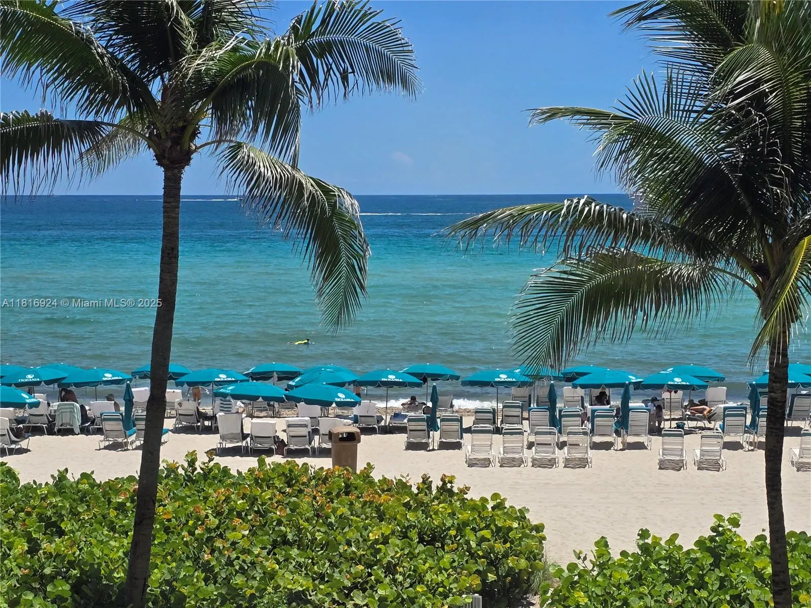 16445 Collins Ave (Direct Ocean View /Corner Unit), #1426