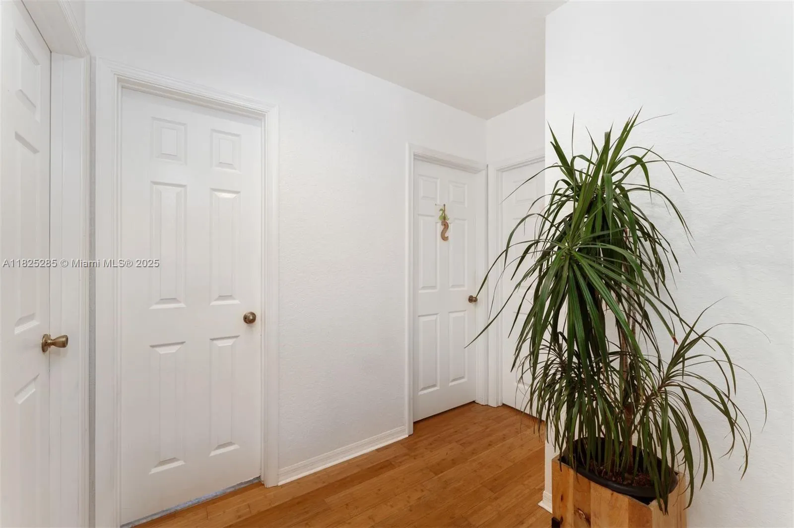 380 Cambridge Dr, #0
