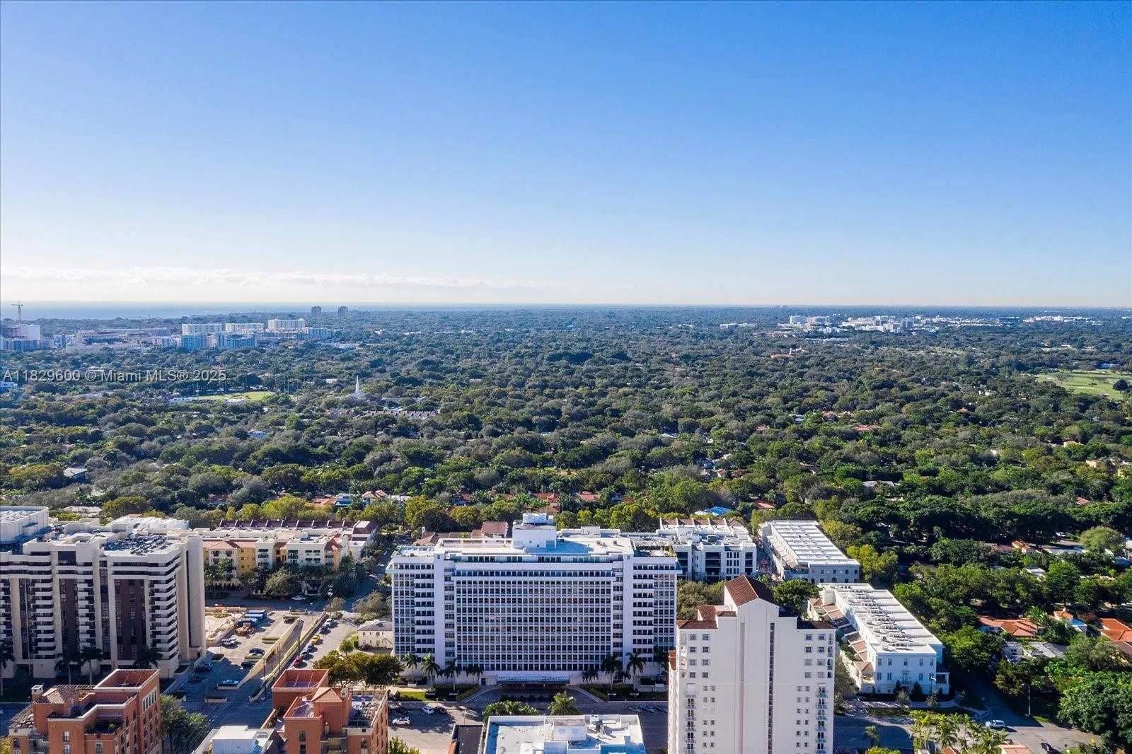 700 Biltmore Way, #914