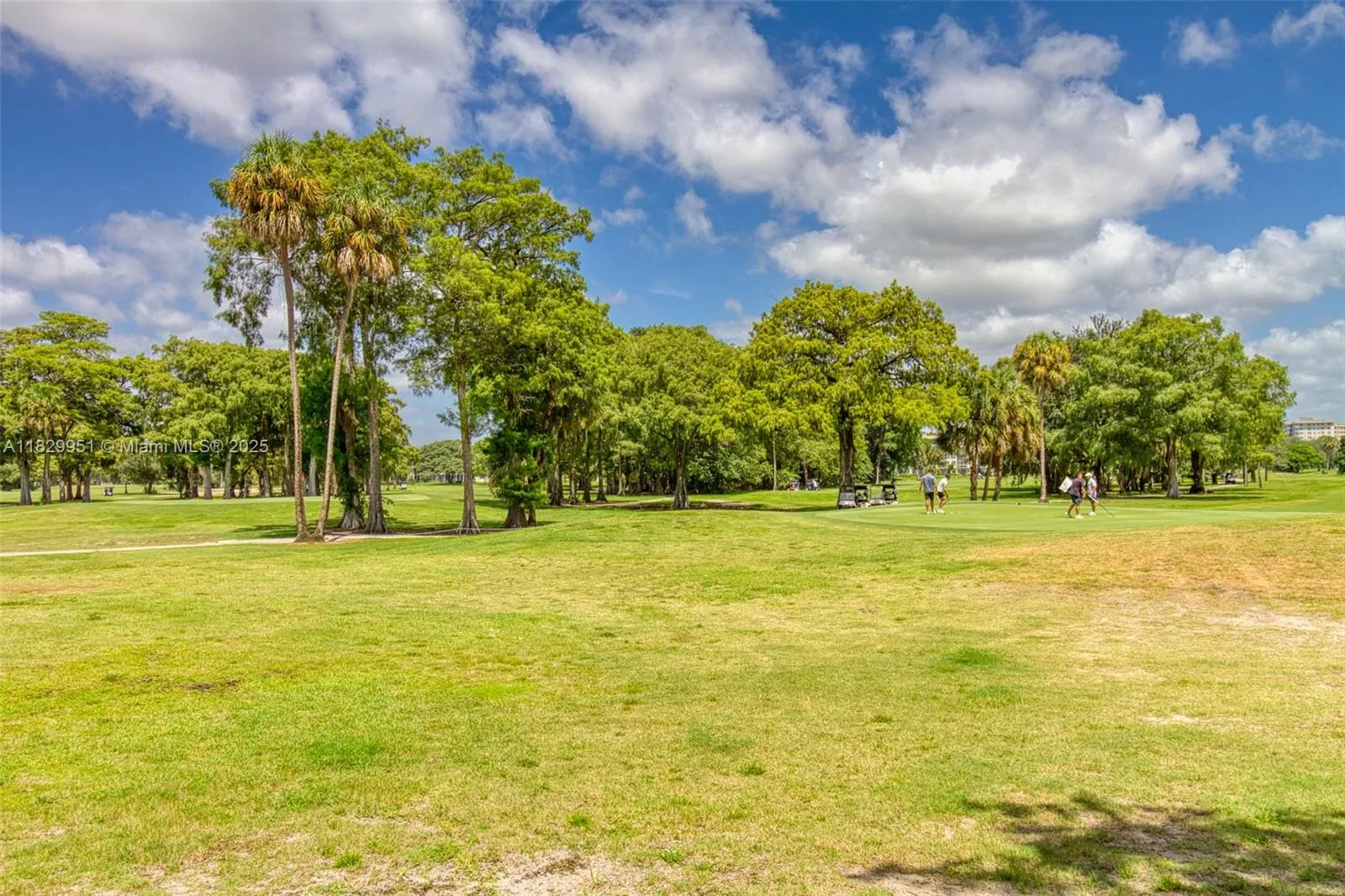 4015 W Palm Aire Dr, #506