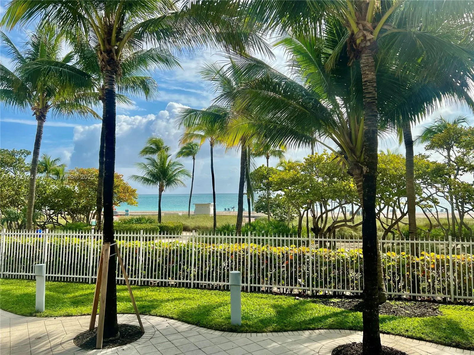 10275 Collins Ave, #229