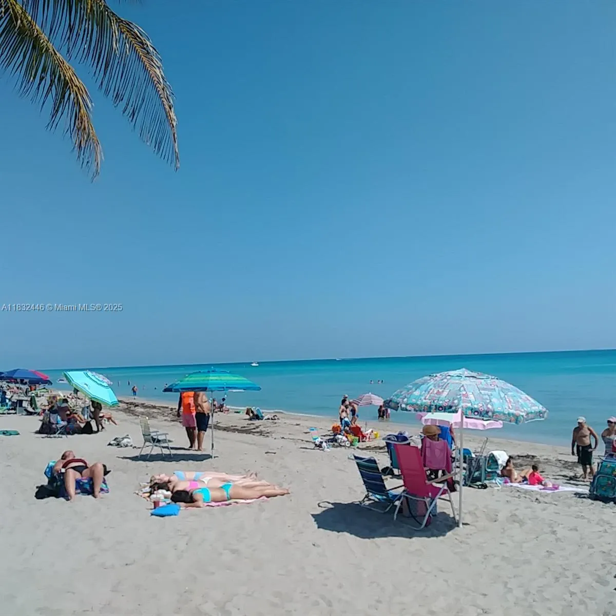 3135 S Ocean Dr, #230