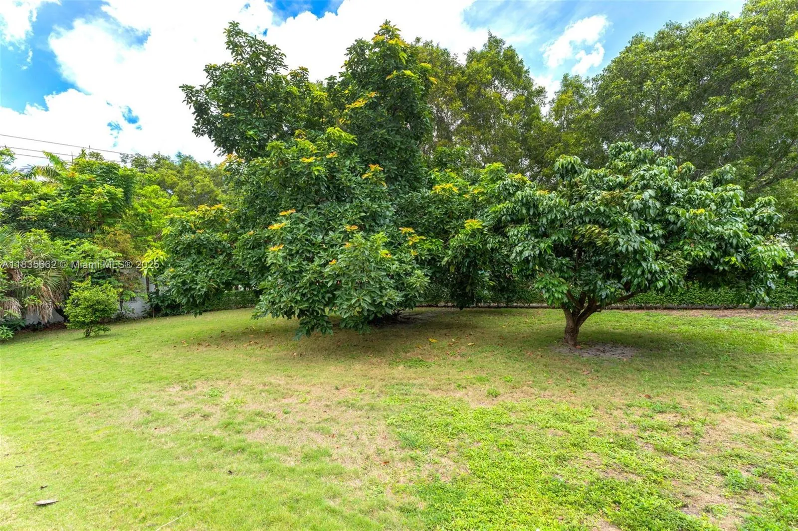 1305 Alhambra Cir