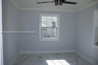 3954 Coconut